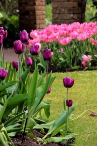 GeffryeMuseumGiardino_MuseoDellaCasa