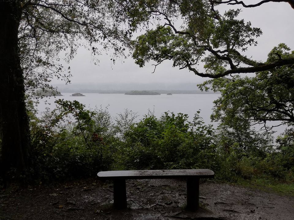 23140377_10214501012860428_1681684167_n