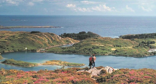 daretobewildmovie_large